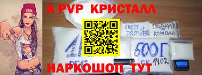 мет Кингисепп