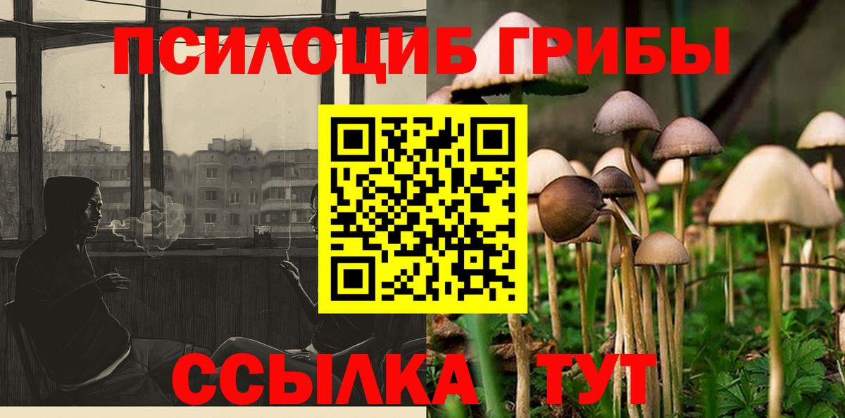 Усолье-Сибирское  Псилоцибиновые грибы Cubensis  Вход с VPN 